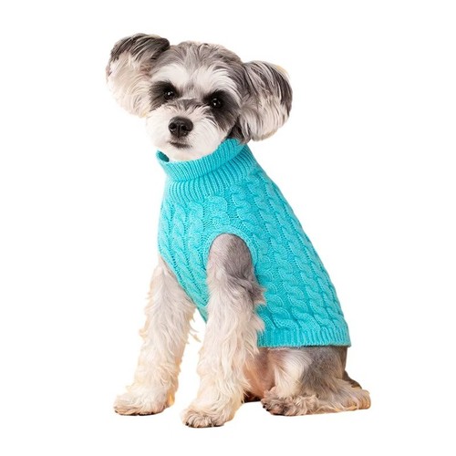 Cozy knit dog - dog, winter