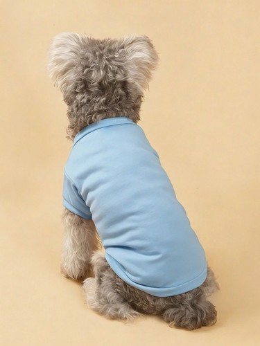 Dog shirt blank pet - dog,