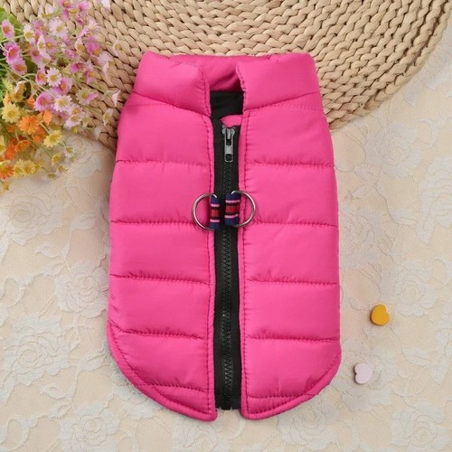 Dog winter jacket - winter, jacket,