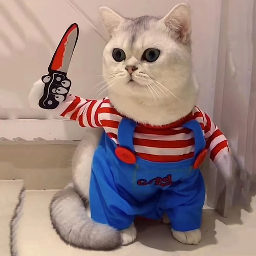 Funny cat clothes halloween - funny,