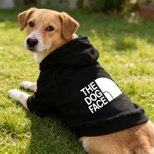 Pet dog hoodie winter - dog,